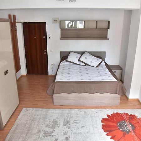 Apartament Frunzei Sibiu Eksteriør bilde